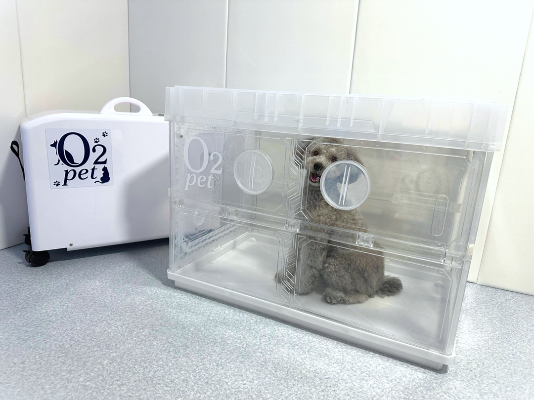 ペット用酸素室｢O2 pet(オーツペット)｣