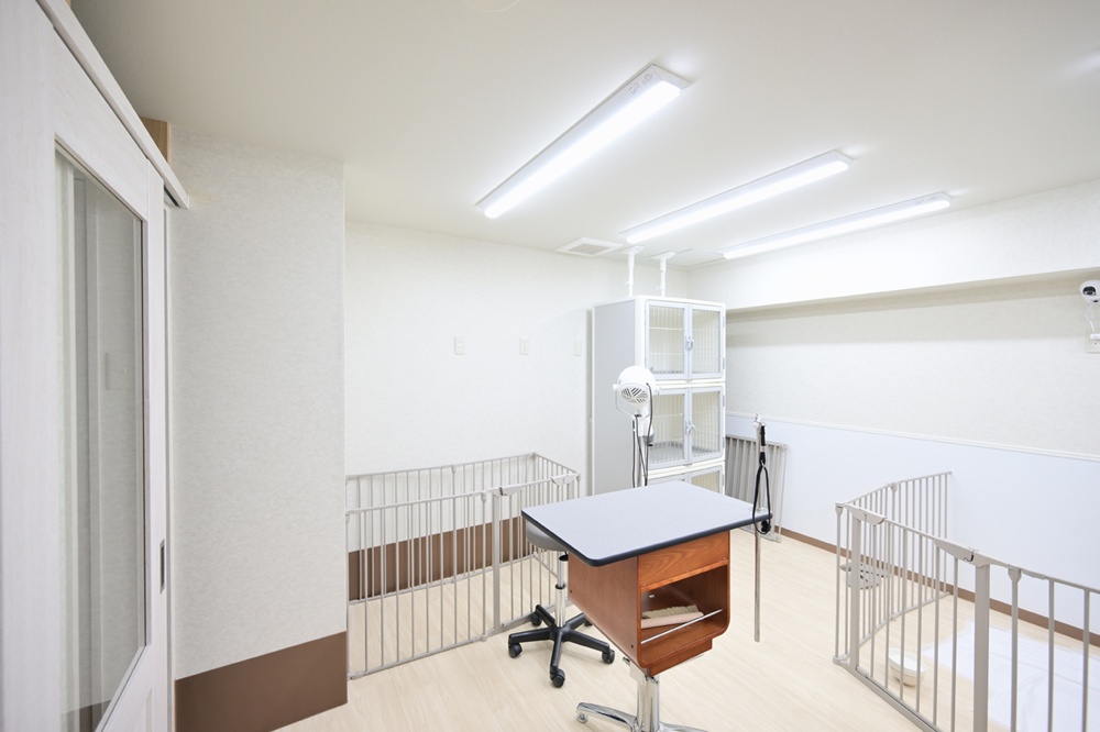 マートルの店舗内04