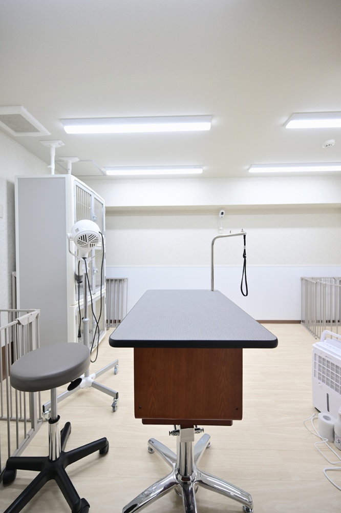 マートルの店舗内05